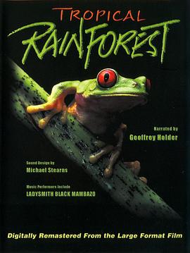 热带雨林风暴行动美国电影